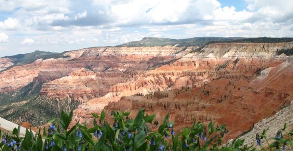 Transparent Utah