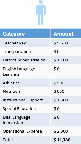 Table showing Category and Amount