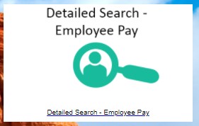 Detailed Search Employee Pay Icon