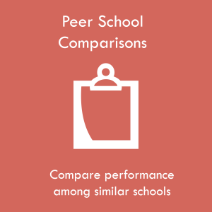 Peer School Comparison Icon